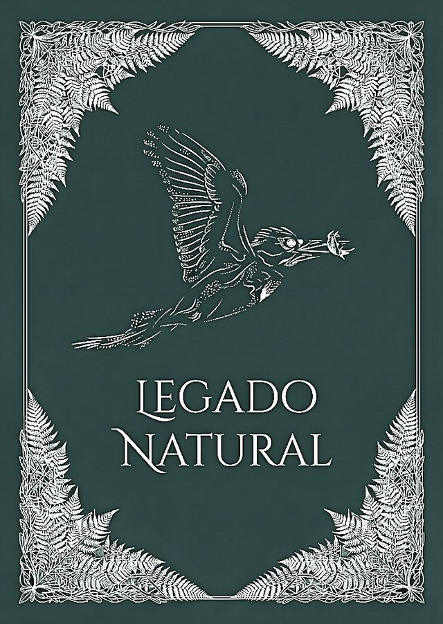 Reverso de la carta — Legado Natural